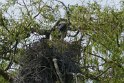 2019-04-18 15-54-08 Parc de la Courneuve DLe